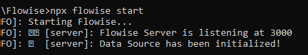 npx flowise start to start flowise command line