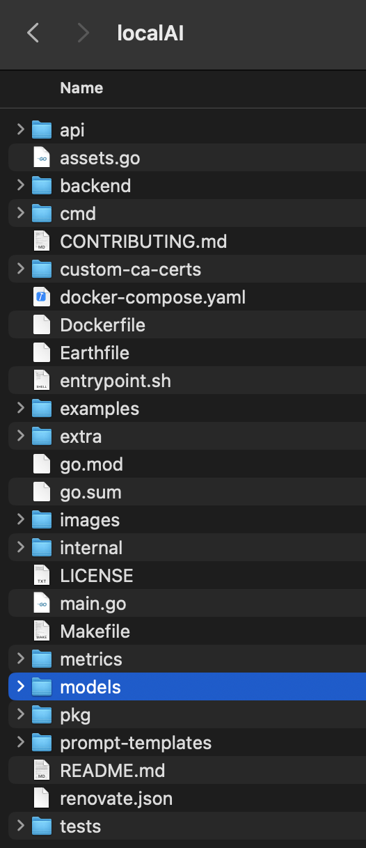 localAI directory showing the models folder/directory highlighted
